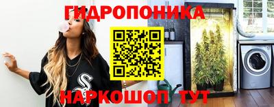 бошки Тула